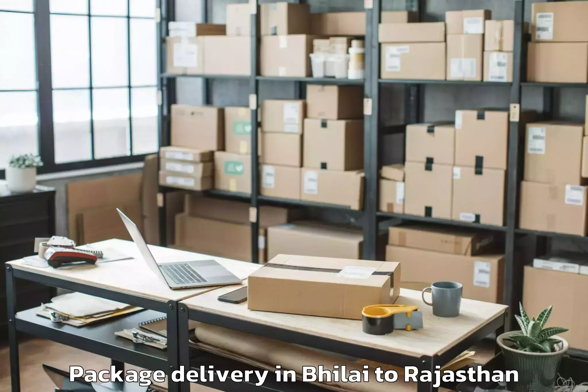 Book Bhilai to Salumbar Package Delivery Online